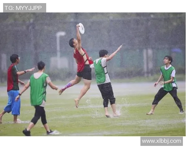 深入探讨北京飞盘队的技术表现与战术分析及其影响因素 深入探讨北京飞盘队的技术表现与战术分析及其影响因素