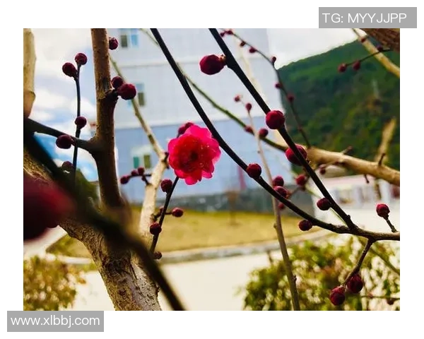 东京五梦与东京卓越的精彩对决谁将赢得最终的荣耀与胜利